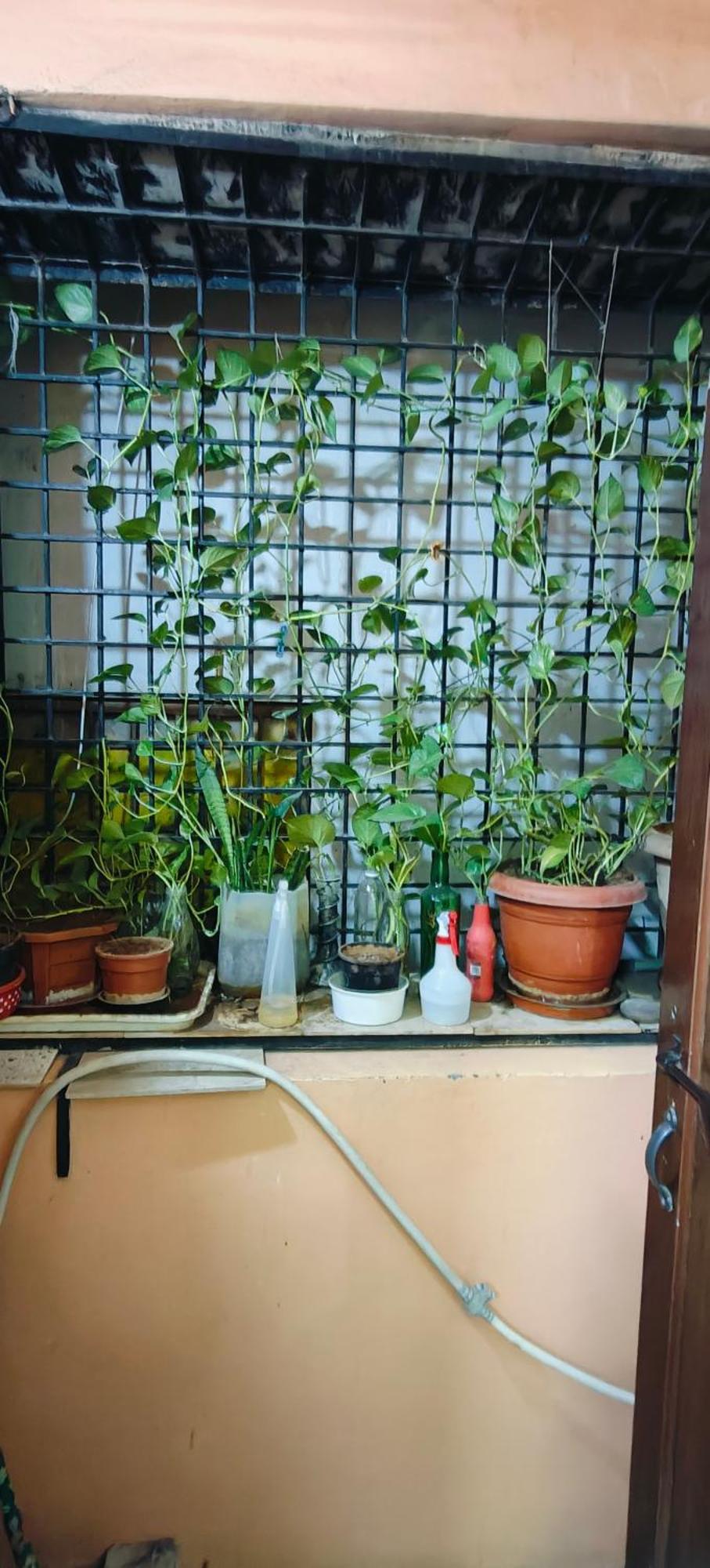 Rani'S Nest Apartment Hyderabad Luaran gambar